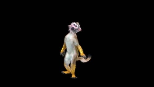 55 Affentanz HD