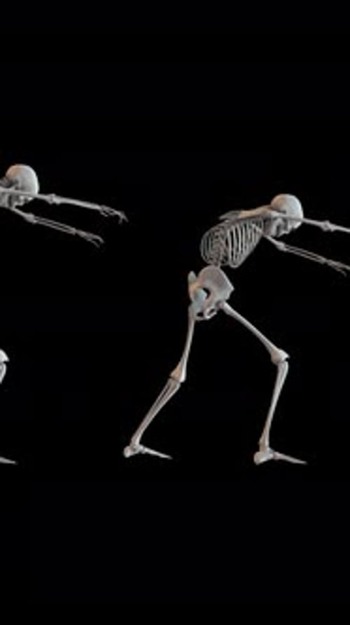 Walking Skeleton Zombies Loop
