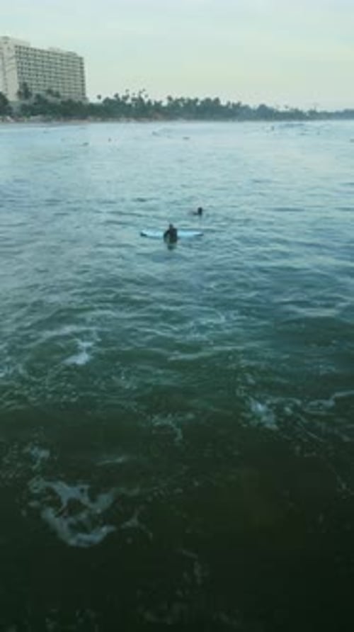 Surfers Catch Waves at Sunset in Aerial View Crowded Sea People Wait for Swell Paddle Stand on