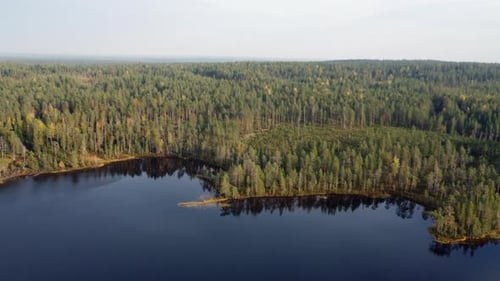 Árvores perenes se estendem até a costa natural do lago azul do norte