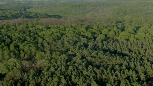 Slowly rising tilt aerial of dense forest covered hills in Wisconsin during a warm summer day at dus
