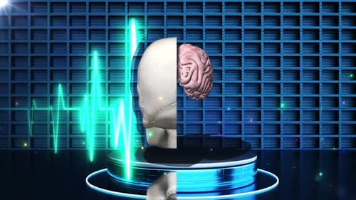 Skull 3d model rotates rendering