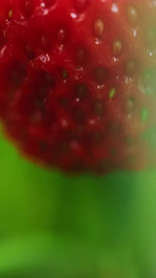Eine wunderschöne Nahaufnahme von frischen Erdbeeren in lebendigen und leuchtenden Farben