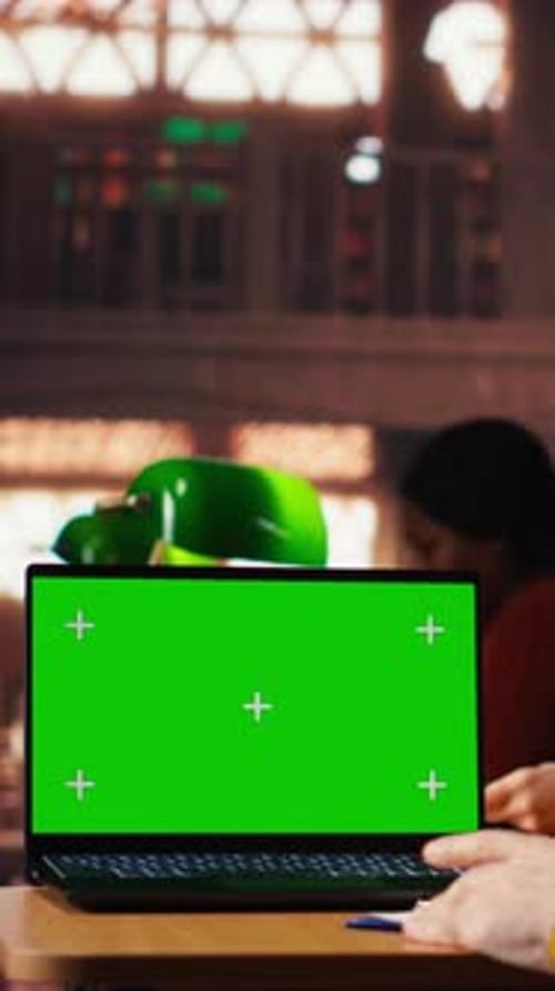 Vertical Video Senior Male Learner Studying Academic Materials with Green Screen on Laptop