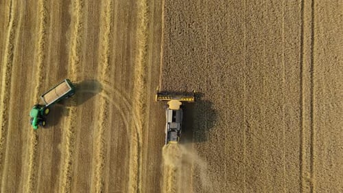 Aerial View of Harvest in Action in the UK