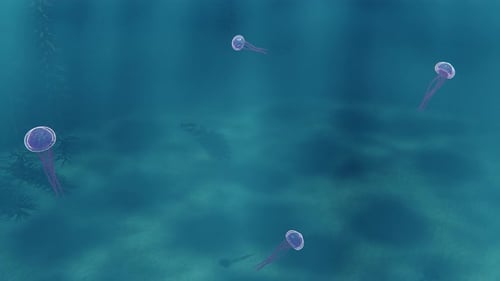 3D-Renderanimation von im Meer schwimmenden Quallen