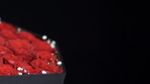 Elegant Red Roses in a Black Box