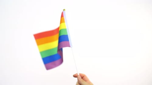 Rainbow Flag Waving in Hand on White Background