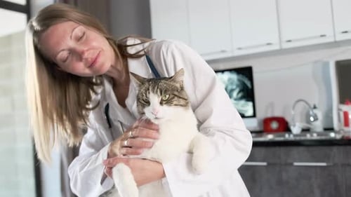 Veterinary care for cute pet in veterinary clinic in hands of pretty vet doctor woman, close up