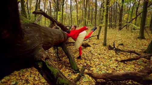 Ballerina Dances En Pointe in Autumn Forest