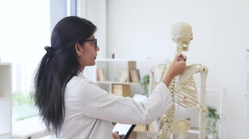 Medical Professional Examines Human Skeleton Model in Office