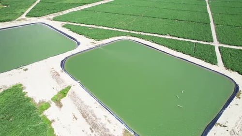Irrigation Water Reservoir for Drip Farming in Barahona