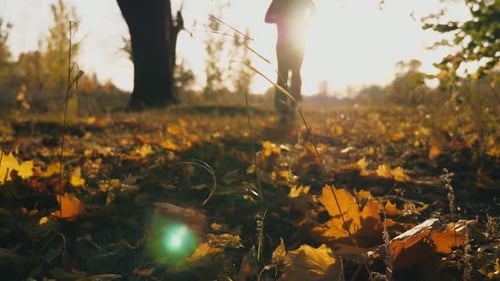 Unrecognizable Sportsman Jogging in Autumn Park Stepping on Color Maple Leaves Male Athlete Training