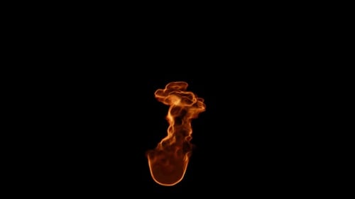 Realistic Burning Fire Flame Loop Animation