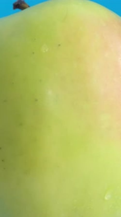 Perfect Fresh Green Apple Isolated on Blue Background Close Up of Rotating Apple Vertical Video