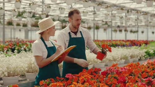Garden Workers Examine the Flower in Floral Store