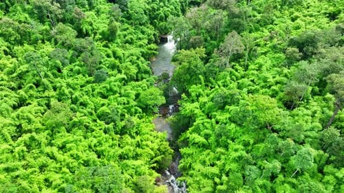 A waterfall in a beautiful tropical forest. Drone view.
