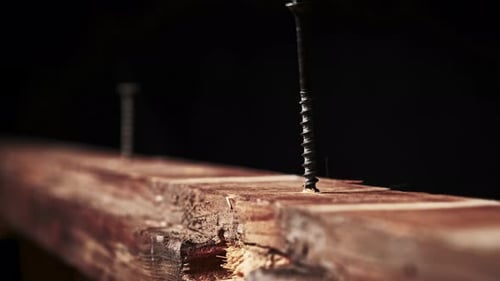 The Screw is Screwed Into the Wood Board with a Screwdriver Extreme Macro