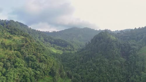 Aerial View of tropical nature forest on the valley.