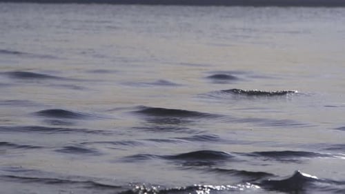Plan rapproché de vagues d'eau se déplaçant sur le lit d'un lac.