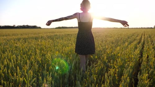 Carefree Punk Girl with Tattoos Walking Through Green Barley Field at Sunset Young Hippie Woman in