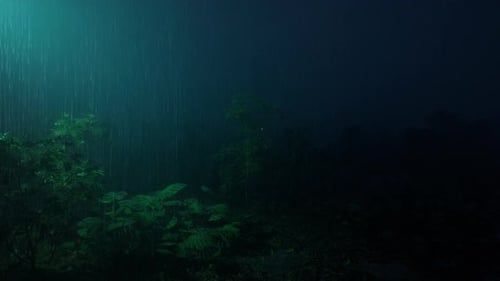 Regen fällt nachts auf der Wiese