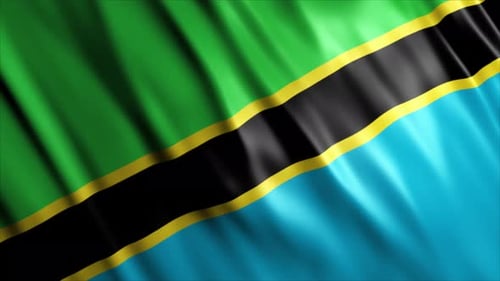 Seamlessly Waving Tanzania National Flag with Realistic Fabric Movement