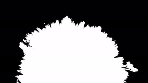 Expanding White Shape on Black Background