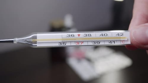 A Human Hand Holds a Thermometer with a Mercury Column Indicating the Normal Body Temperature in