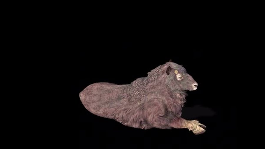 Moscow Laydown inactivo, Motion Graphics Incluyendo: animal y mascota ...