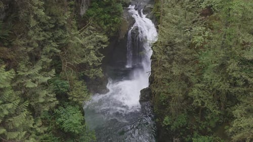 Following a waterfall's path in Lynn Canyon Vancouver