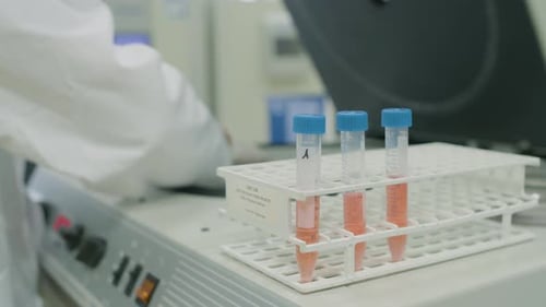 Scientist Handling Test Tubes in Laboratory Close Up