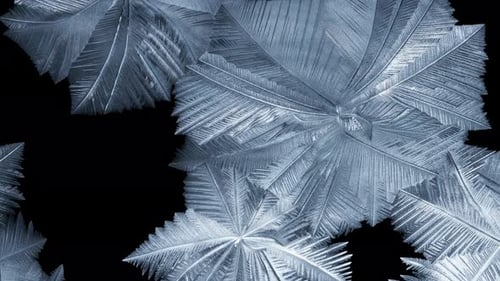 Abstract Ice Crystal Pattern on Black Background