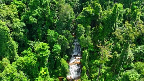 Aerial View of Waterfall in Tropical Forest