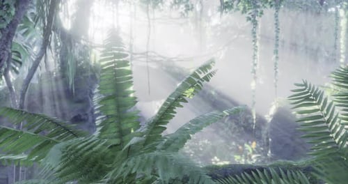 Lush Tropical Jungle Ferns with Sun Rays Background Animation