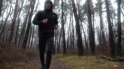 Sporty Male Runner Jogging Along Trail at Autumn Forest Young Sportsman Running Along Path at