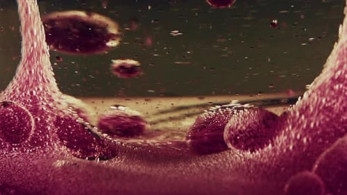 Abstract Mesmerizing Liquid Oil Bubbles Moves In Water 12