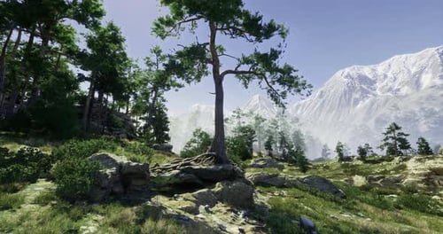 Majestic Mountains Rise Behind a Vibrant Forest Landscape in Daylight