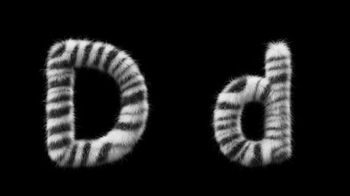 Animação 3D de uma letra de lã Zebra maiúscula e minúscula D