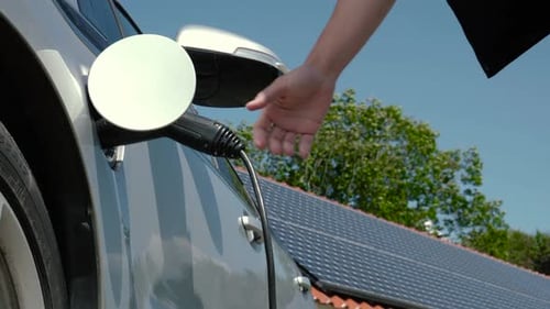 Car Solar Panels Trees