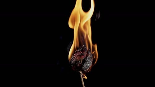 Burning Rose Close-up on Black Background