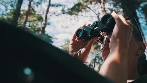 Woman Looks Through Binoculars on a Chaise Longue in a Forest Near Camping