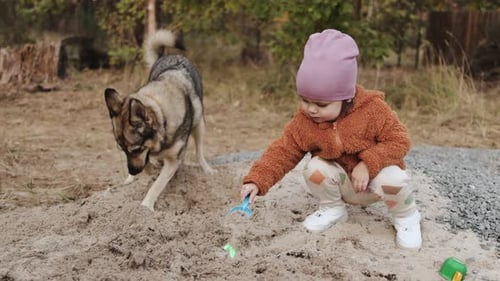 Child and Dog Playing Together in Sand