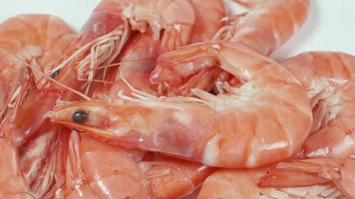 Gekochte Garnelen mit intakter Schale, rotierendem Hintergrund. Gekochte Meeresgarnelen mit Köpfen und Schwänzen