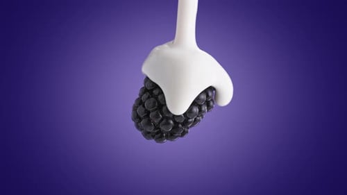 Yogurt Pouring from Top over a Blackberry on Purple Background in Slow Motion and Macro