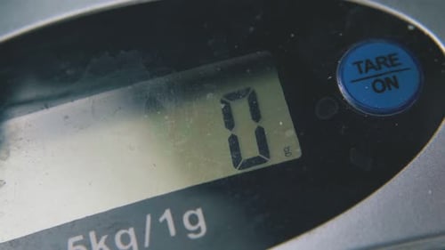 Kitchen Scales with Screen Shows Weight Extreme Close View