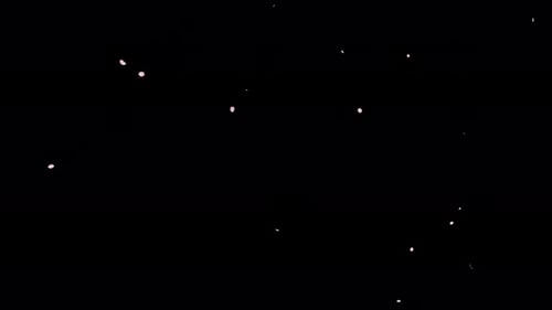 Abstract Fluid Organic Shapes Animation