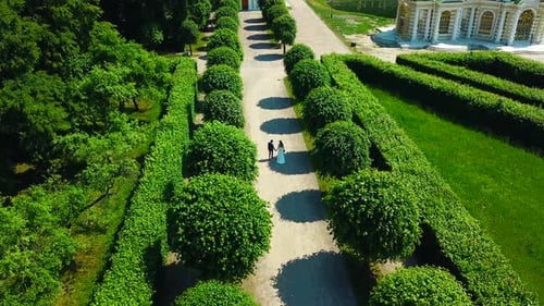 Rich newlyweds on their wedding day in garden of ancient estate