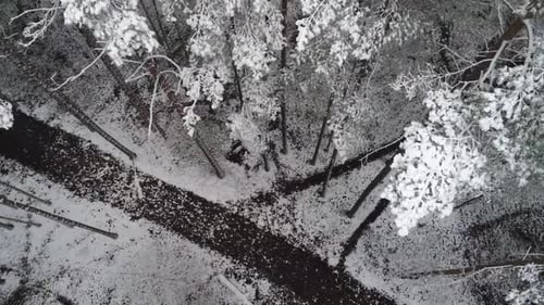 4K River at Winter Snow Forest in the Mountains