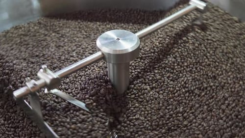 Coffee Beans Stirred in Roasting Machine